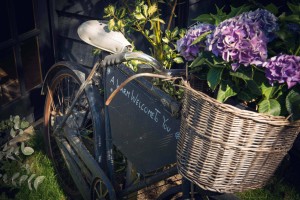 Trend Wedding Photography